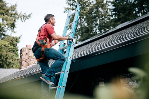 Best Roof Moss and Algae Removal  in Cavalero, WA